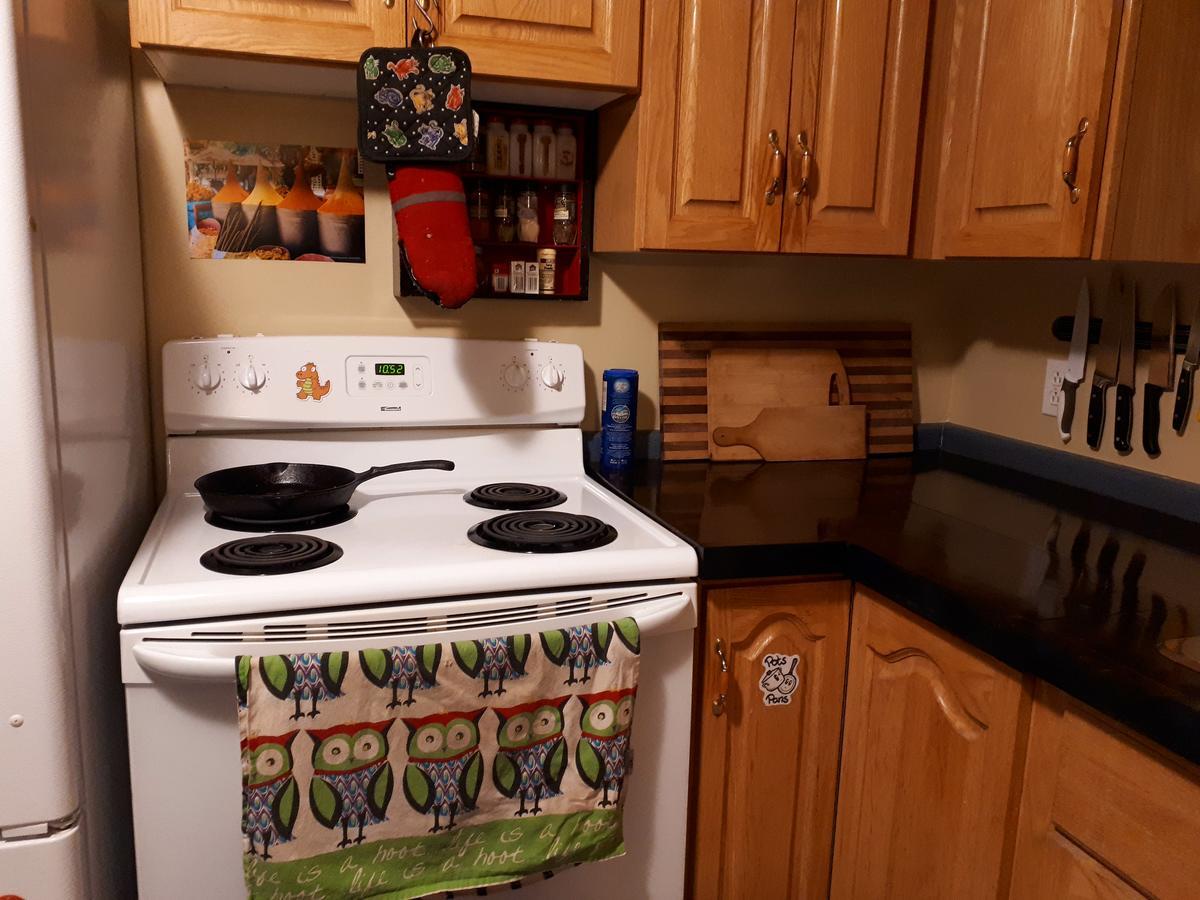 Bert Bark Inn Hostel Saint Andrews Екстер'єр фото